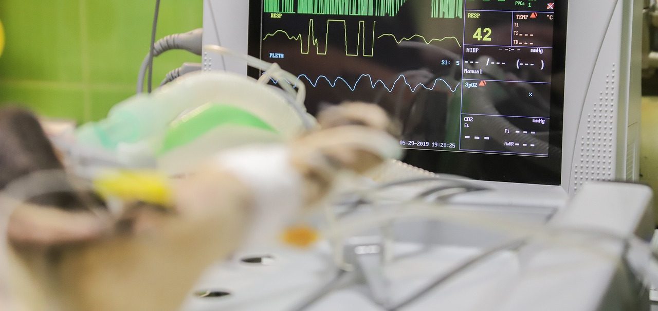Patientenmonitor mit Vitalzeichen und einem medizinischen Gerät im Vordergrund. Auf der Trage liegt ein verletzter Hund. Erste Hilfe Kurs